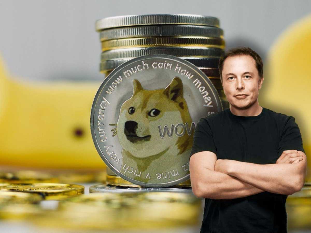 Elon musk dogecoin